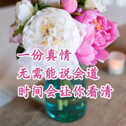 🌈🌈💗🐯遇见你是天意。💗🐯