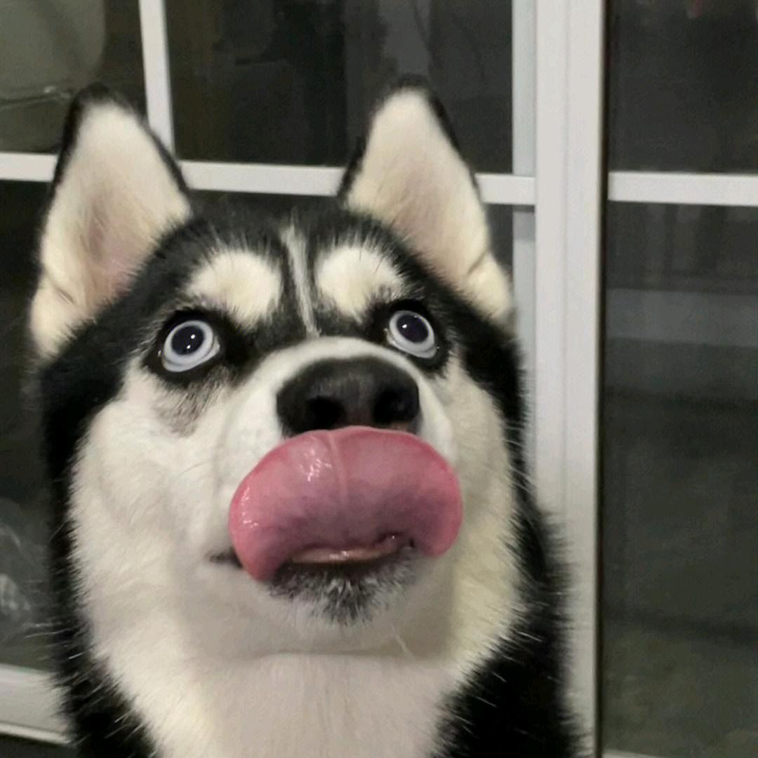 我手速贼快