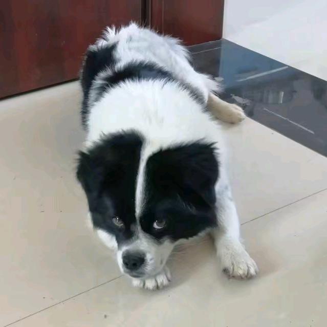 俺是耕田的