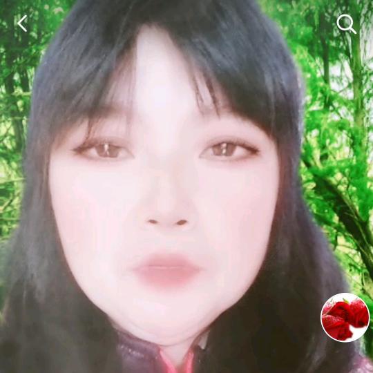 玫瑰花开，菊花盛开