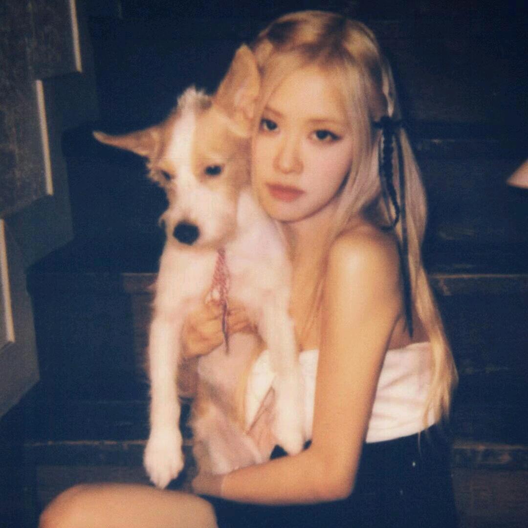 晚睡小🐶