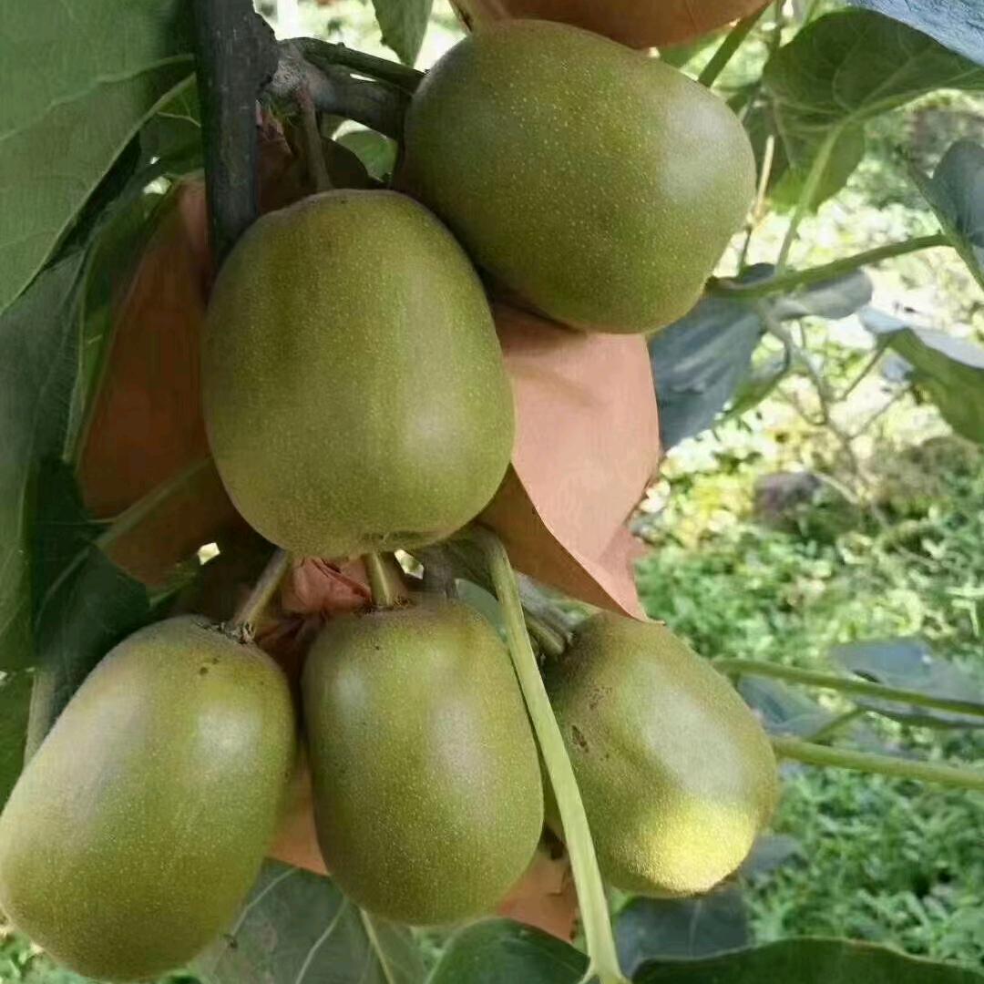 蒲江超超