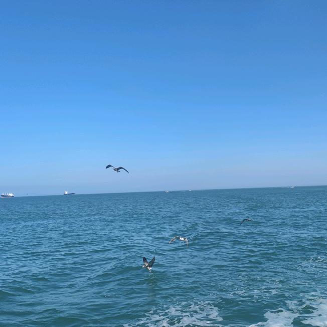 🌹((孙藏不露))🌹