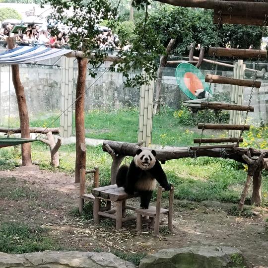 小吃货