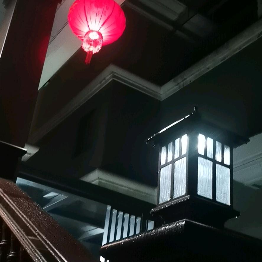 文竹🥀ঞ疼(滕）在我心里¹³¹⁴ృ༊