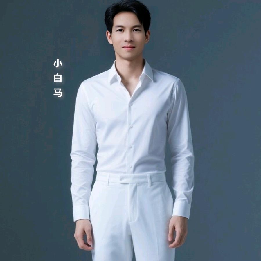 小白马 新歌 十等男人
