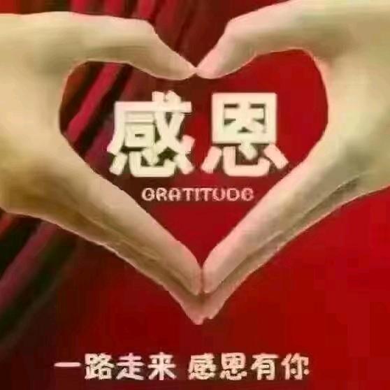 ༺fengcai·拾光༻