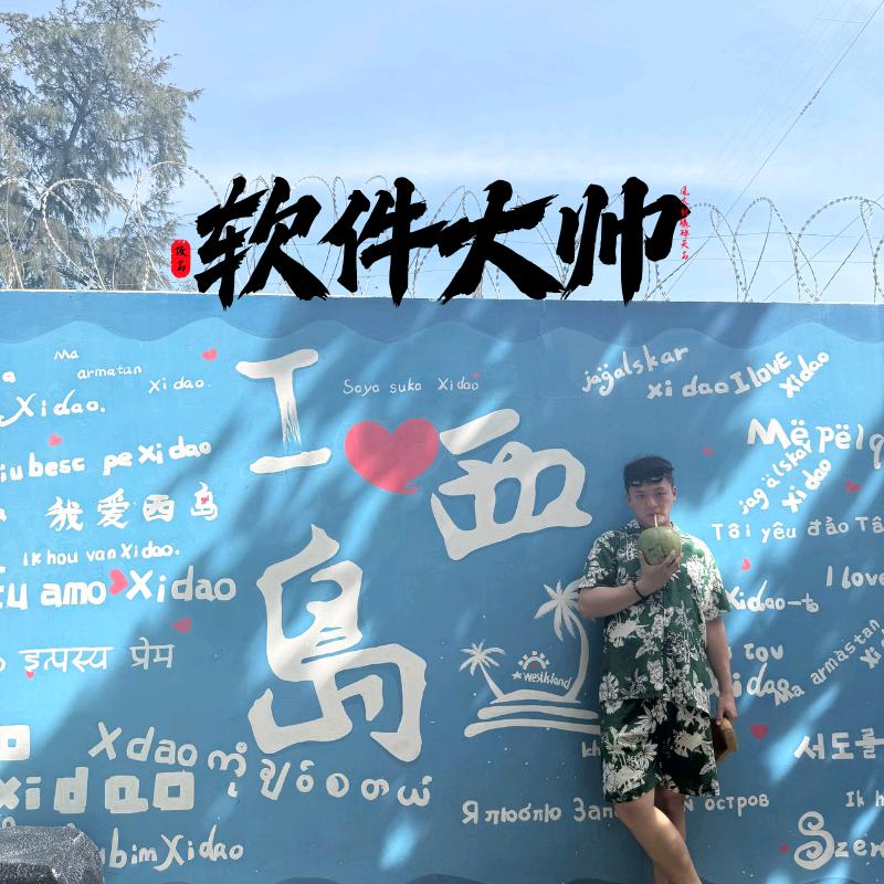 软件大帅