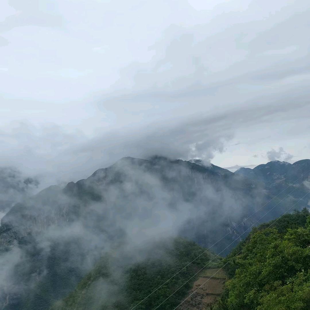 用户7801261573