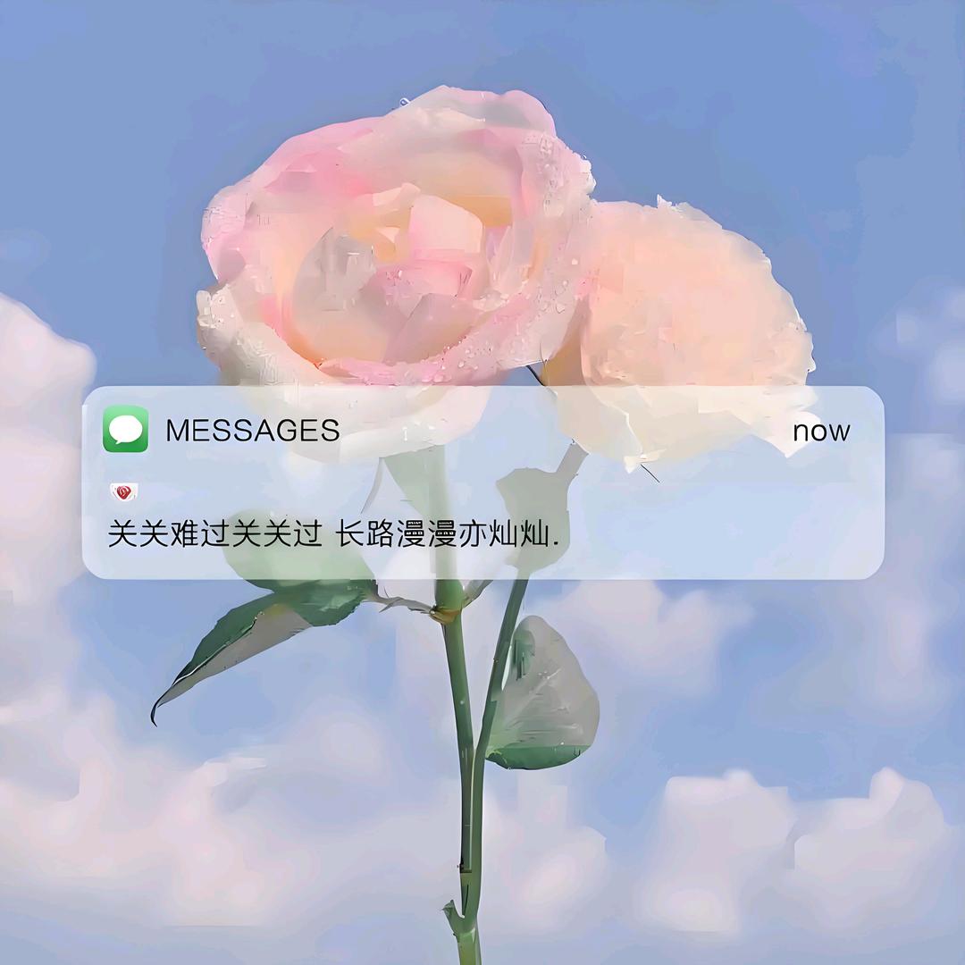 小杨听力必暴涨