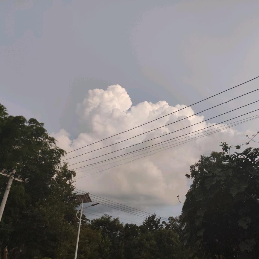 王者荣耀后起之秀