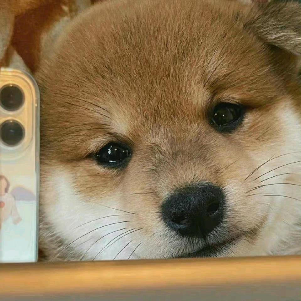 德尔卫