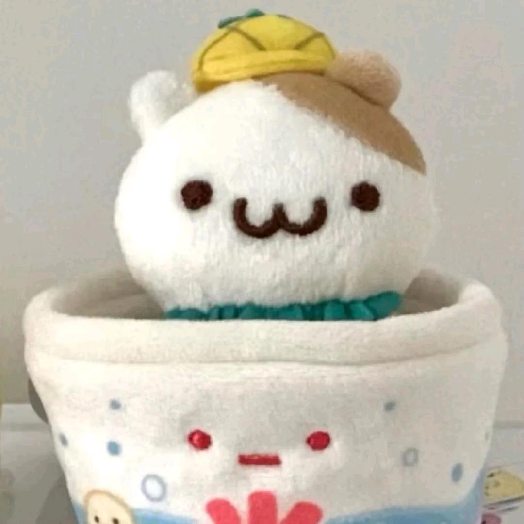 啊哦