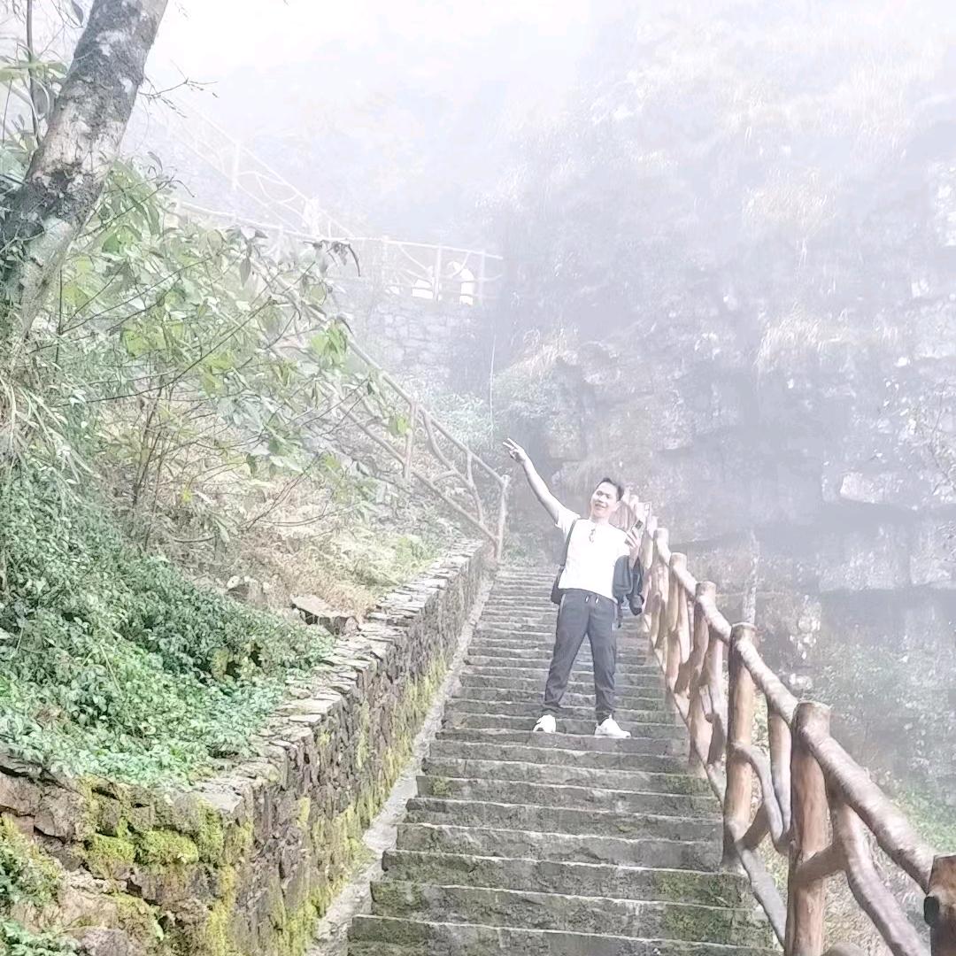 永恒之星⭐