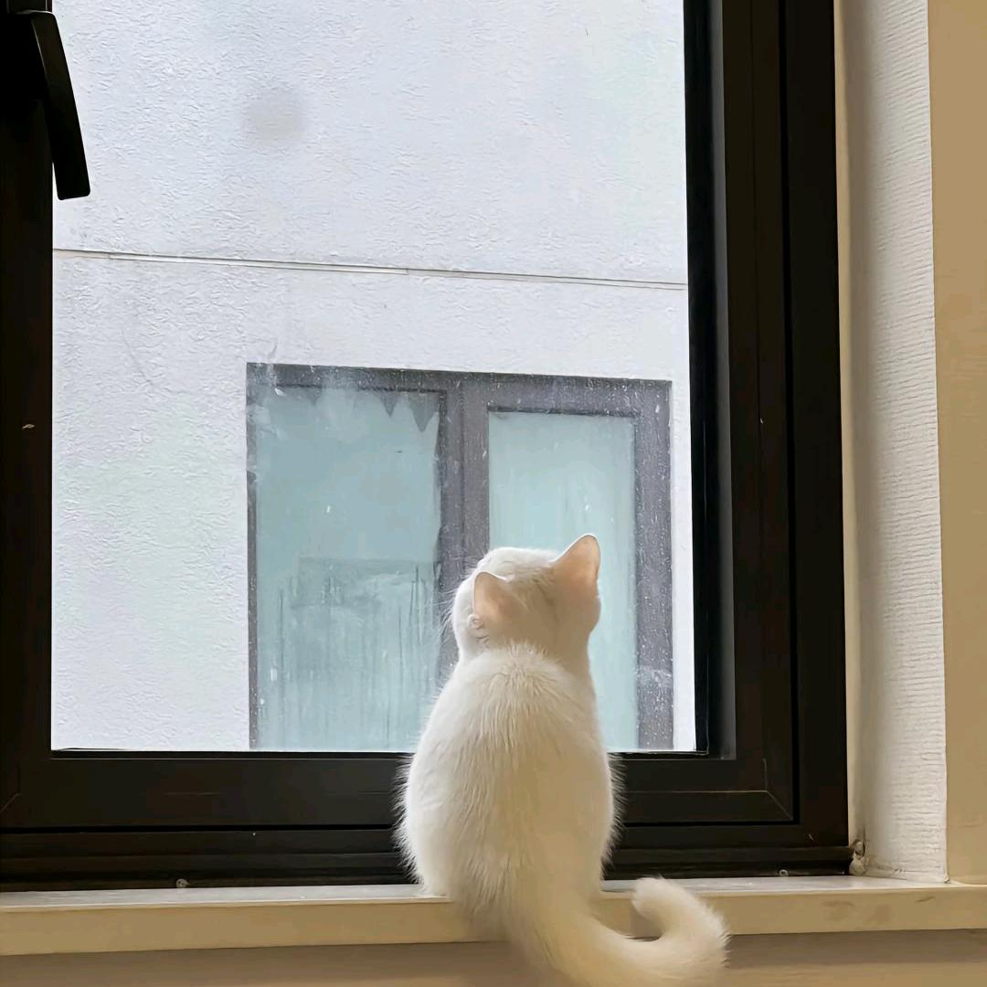 太一( ͡°❥ ͡°)