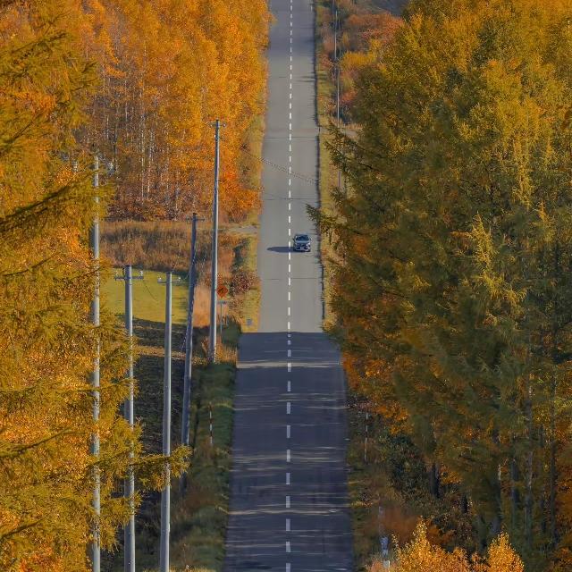 向前 向前 向前！