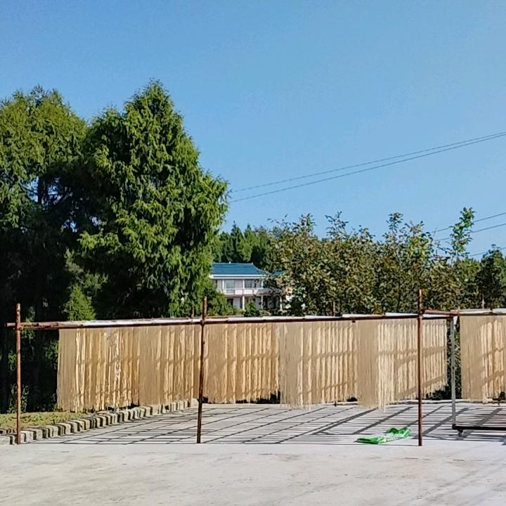 🦅🕊💞 miss念ぢ💕