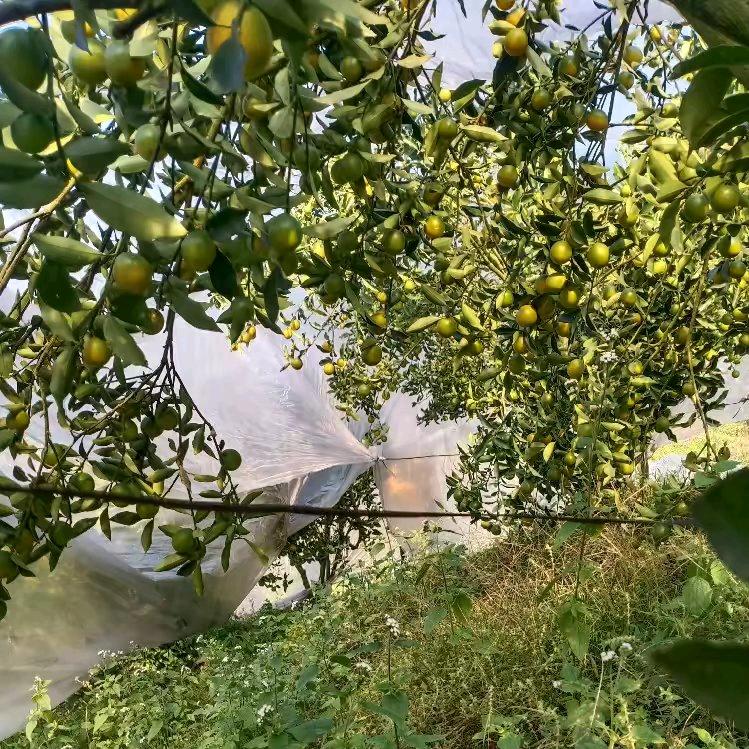 我最伤心的那一个人