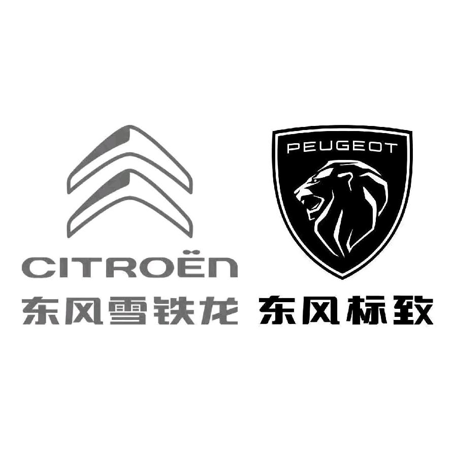 济宁宝狮法系批发基地