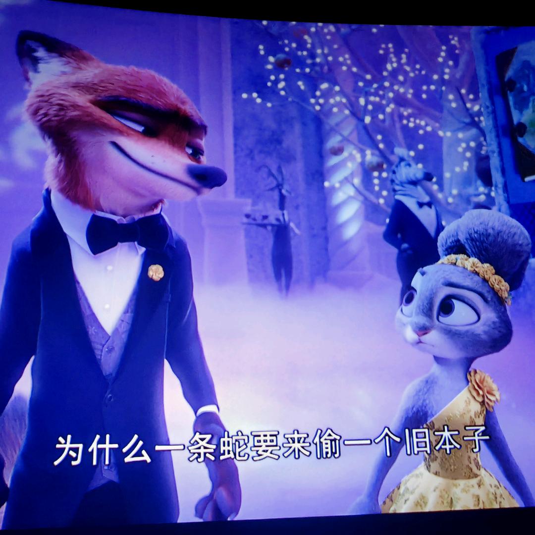 福气叒叕兔💕