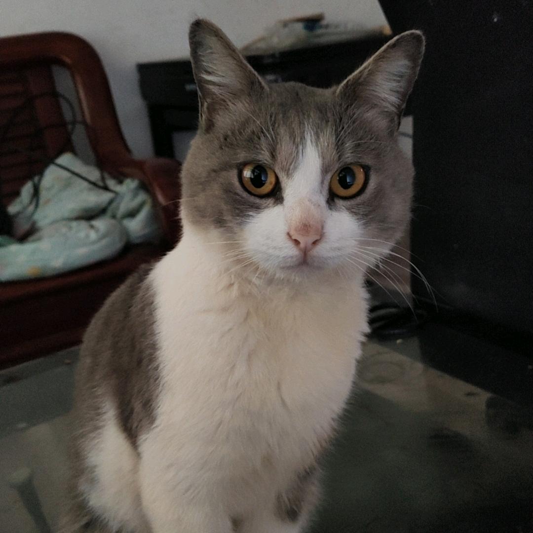 💦含泪装坚强🌺