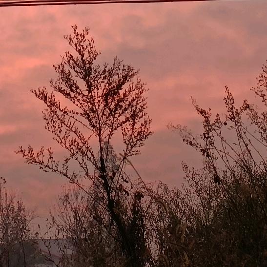 娜娜💞ℳღ᭄富丽靖ꦿ꯭꧔💞