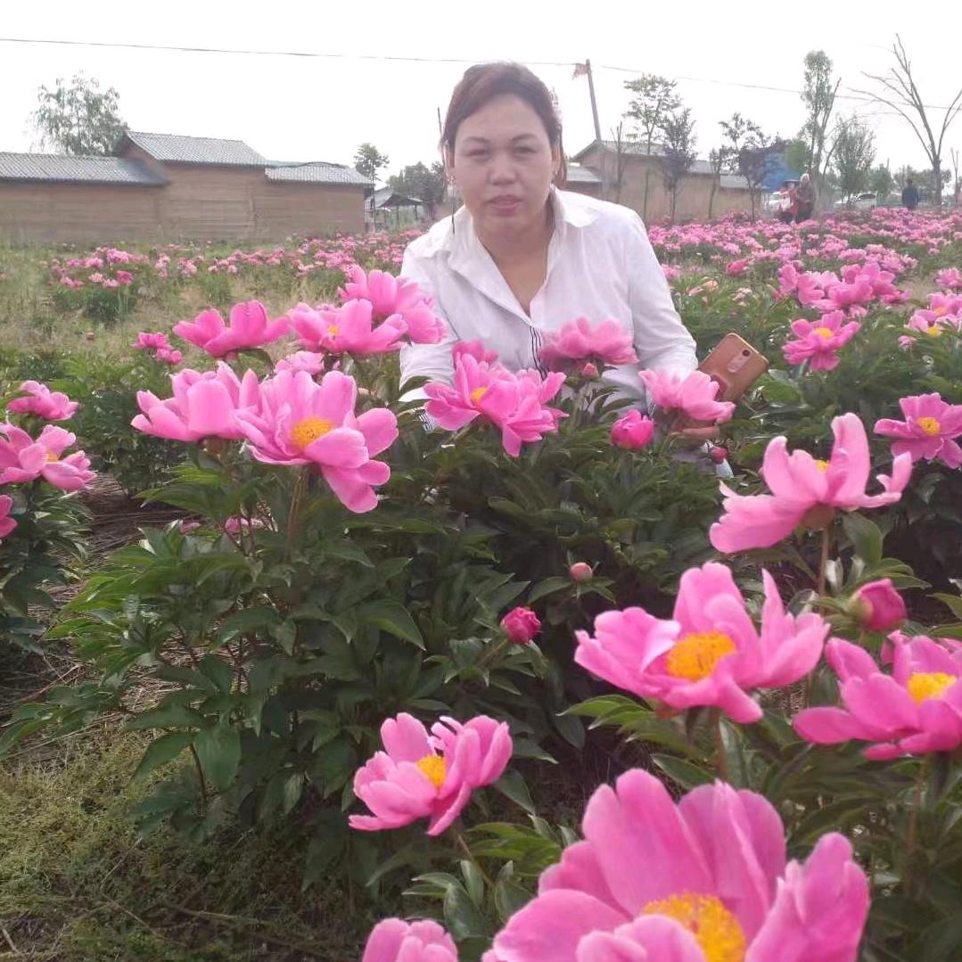 💅累了谁心疼✿✿