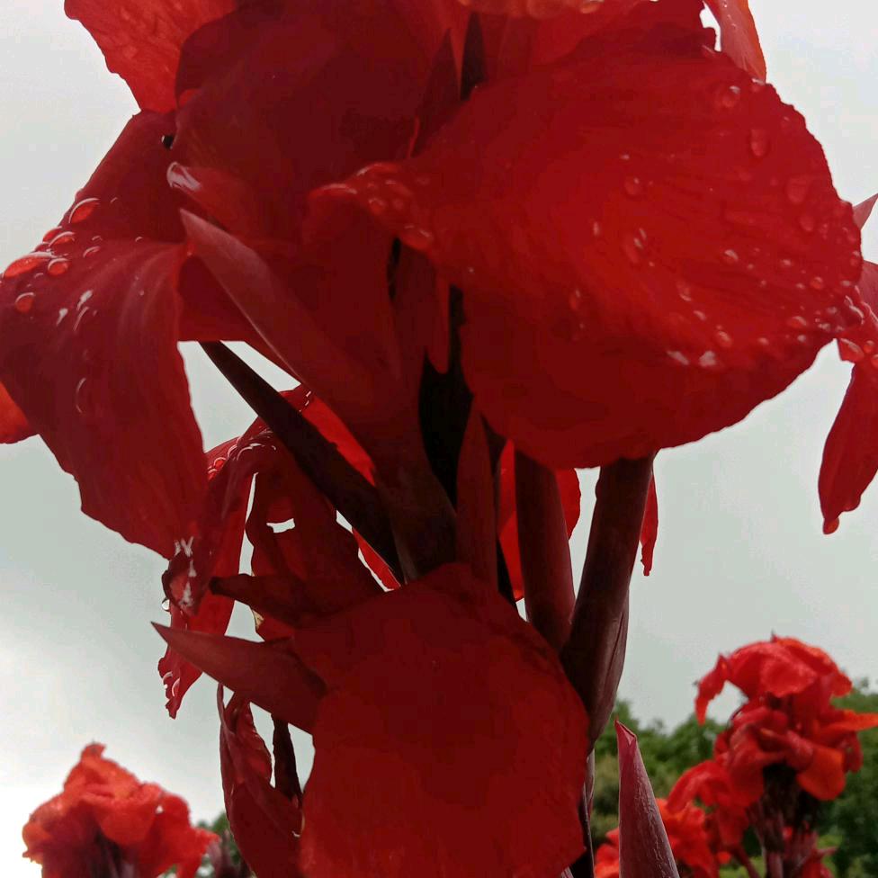 换位思考💞💞💞沈