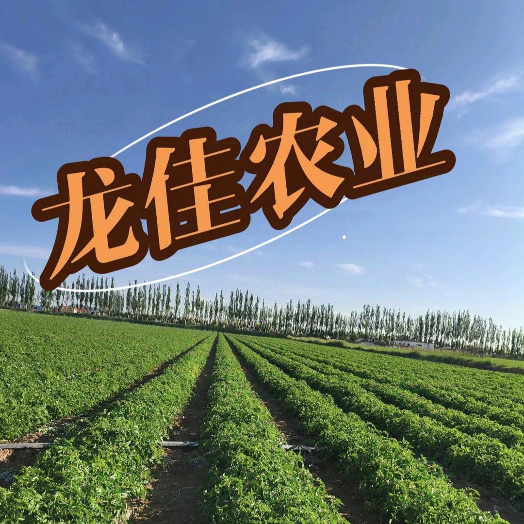 ☞沙尘暴☜