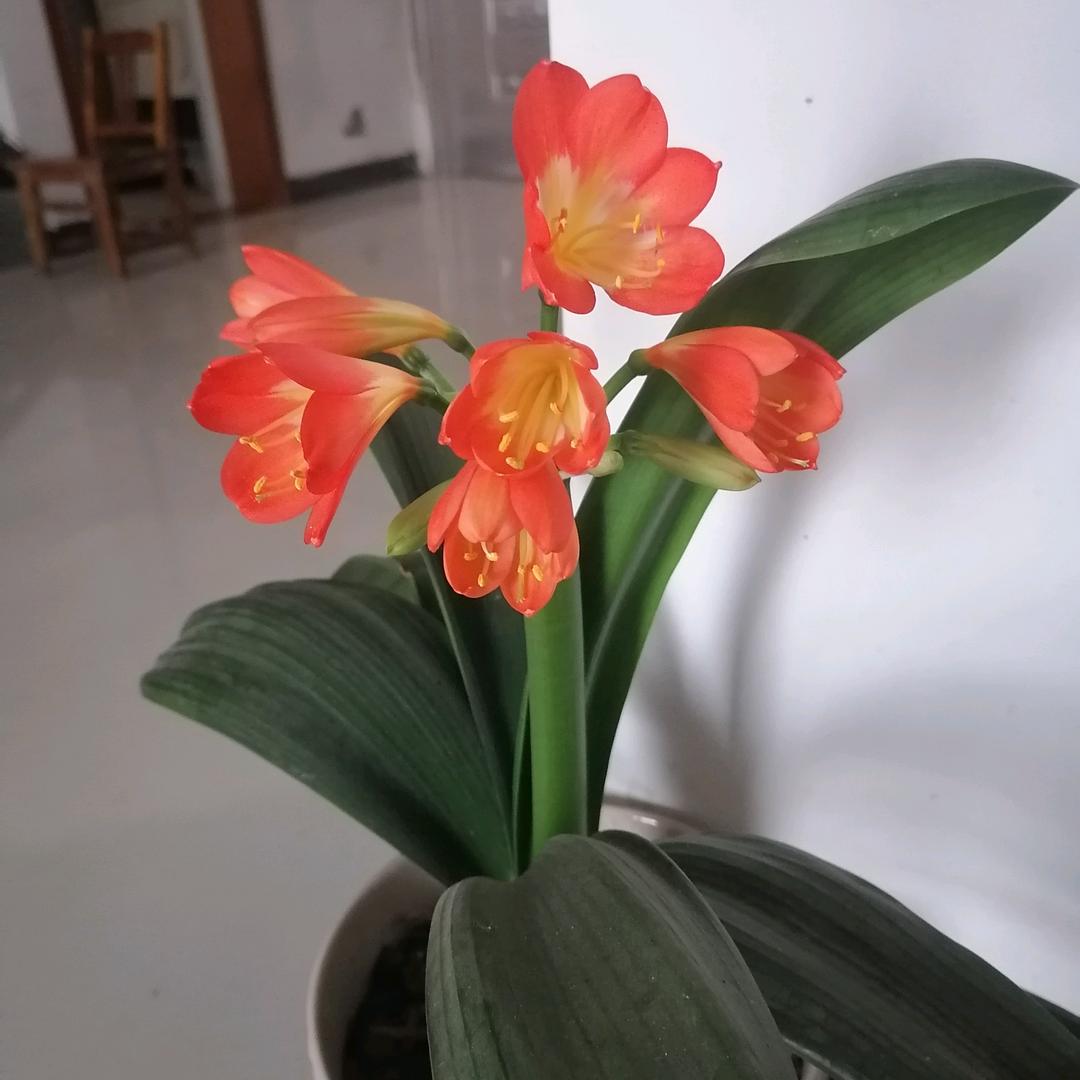 人间满意