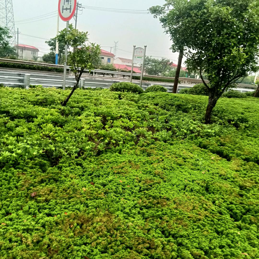 李自来
