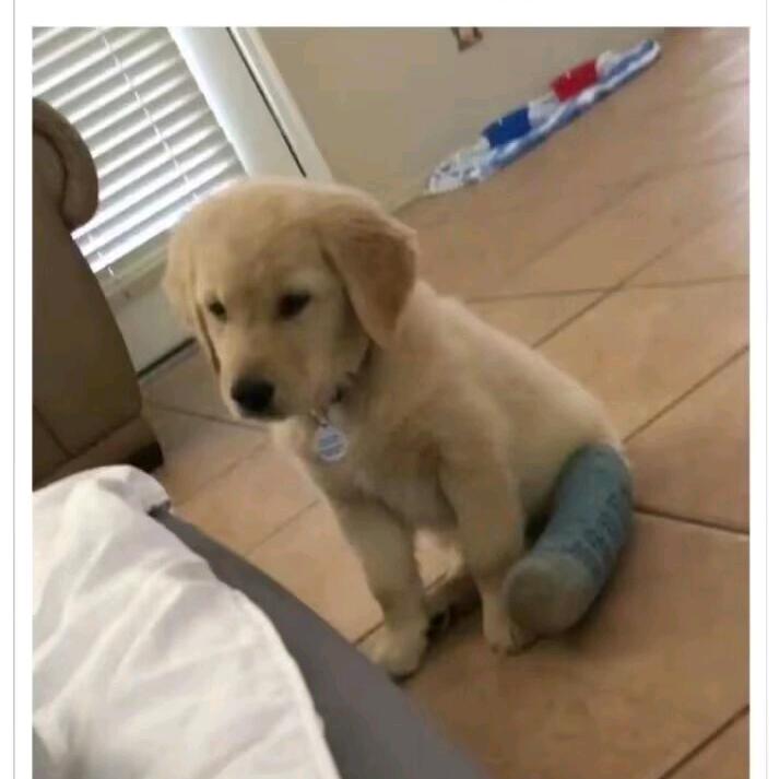 牢北（三角洲行动）