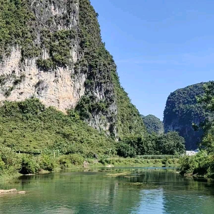 顺其自然
