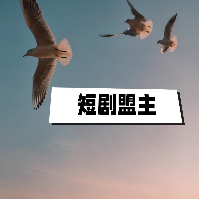 短剧盟主