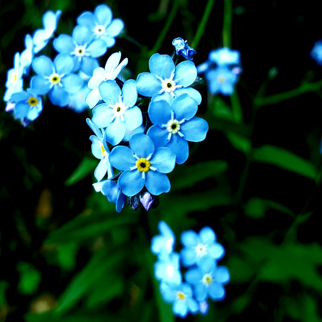 凌夏清风（请勿连赞）