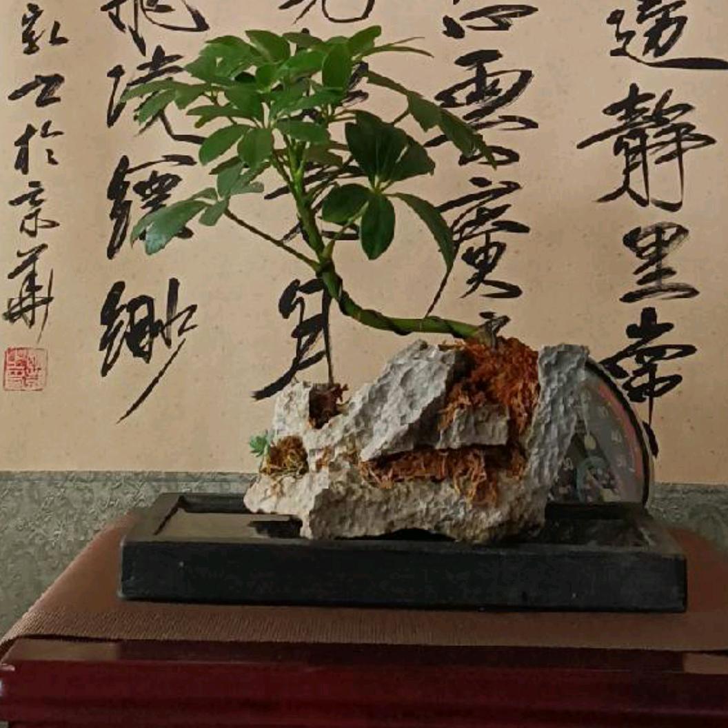 @醉美王吴，传说