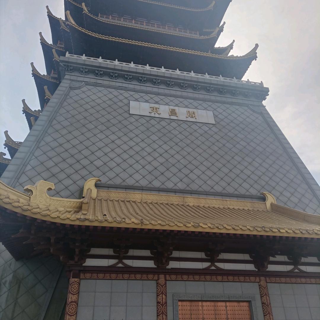 三毛