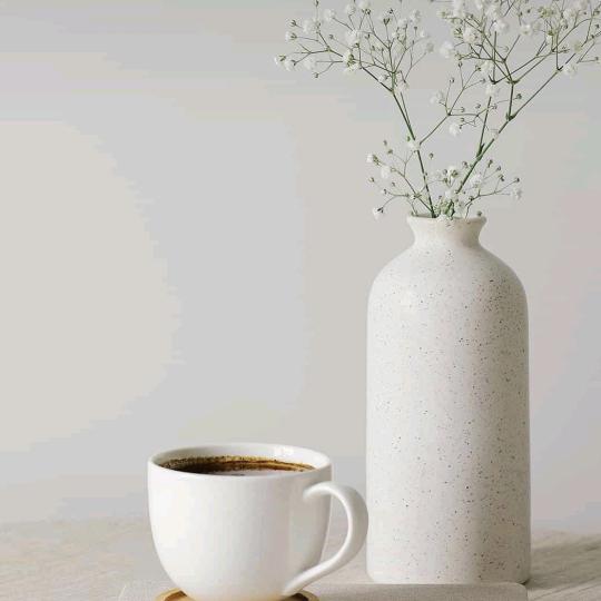 卫平黄金奶油果