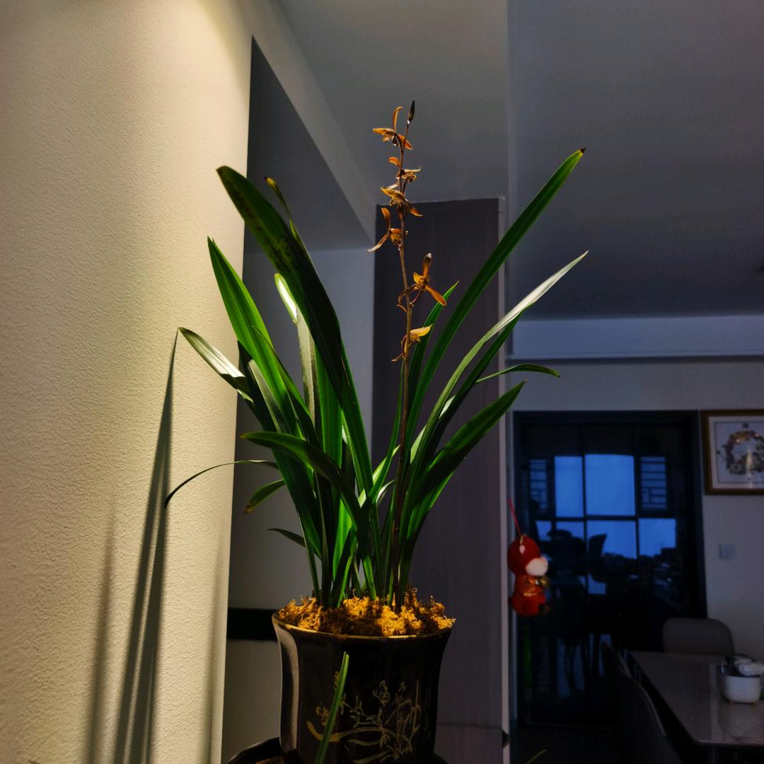 礦泉水（毕节）