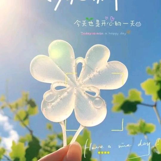 不吃萝卜的小兔子