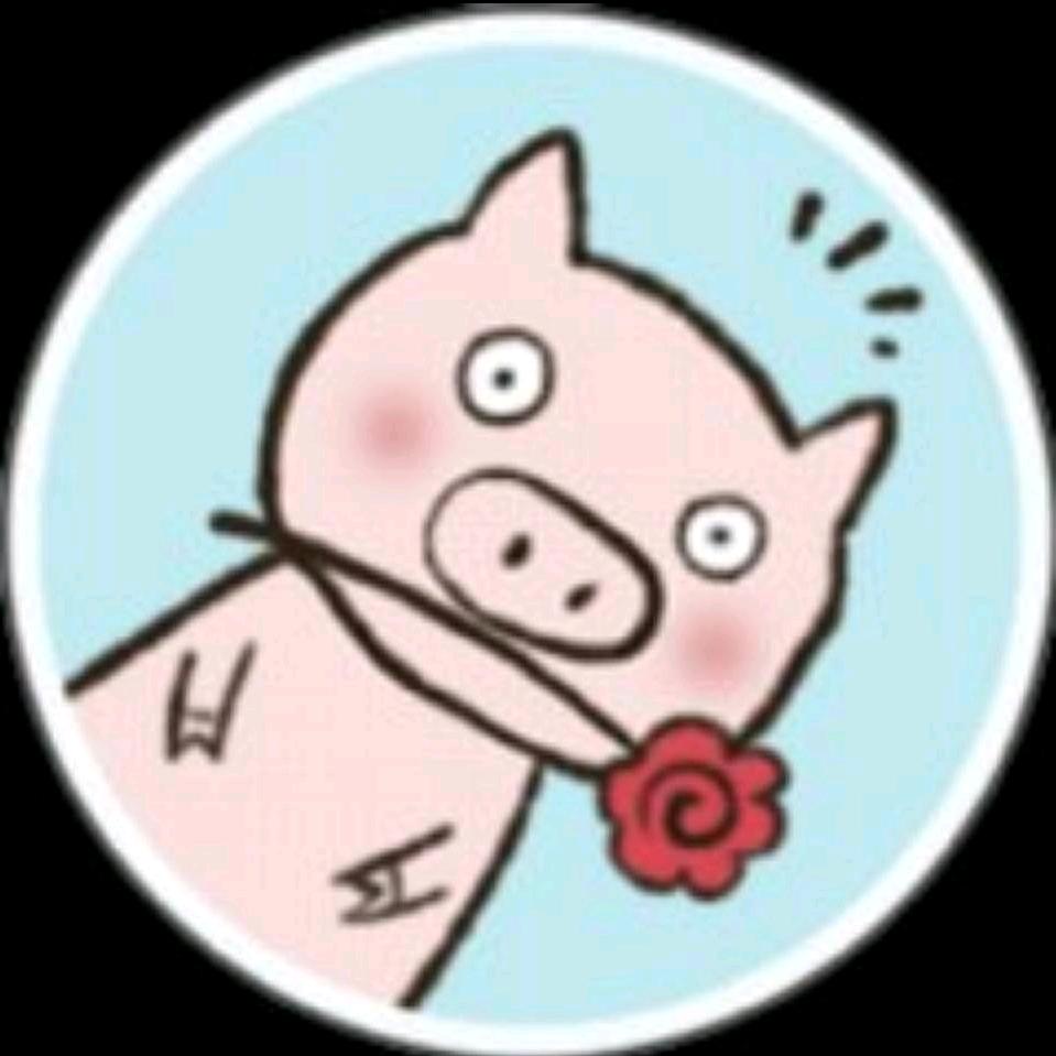 小花猪科普
