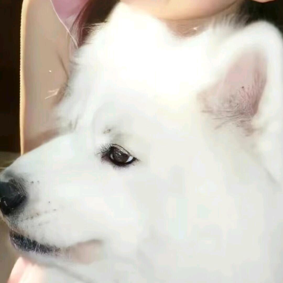 曉