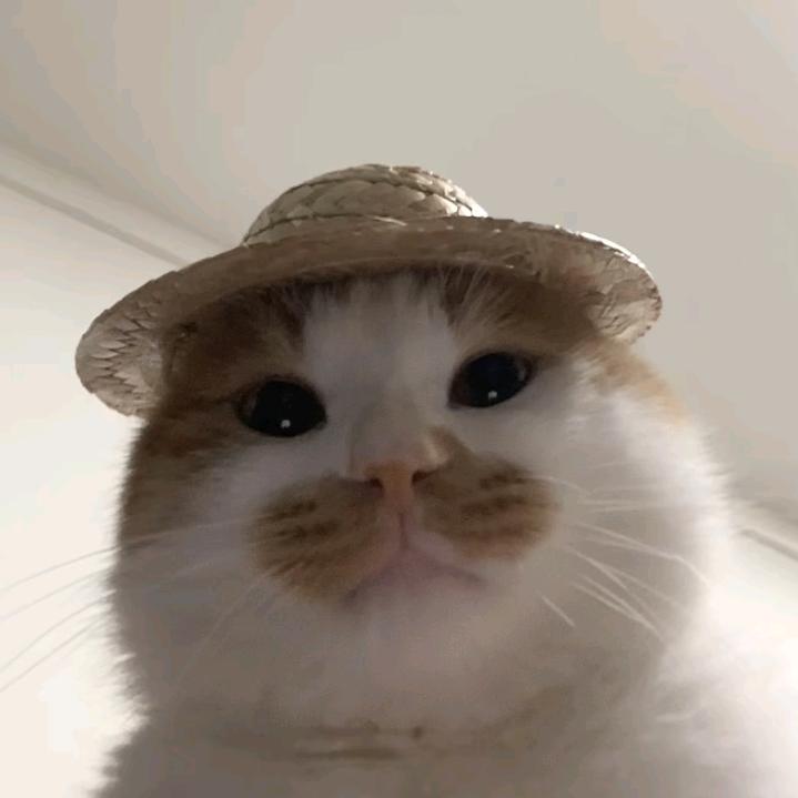 kekoto