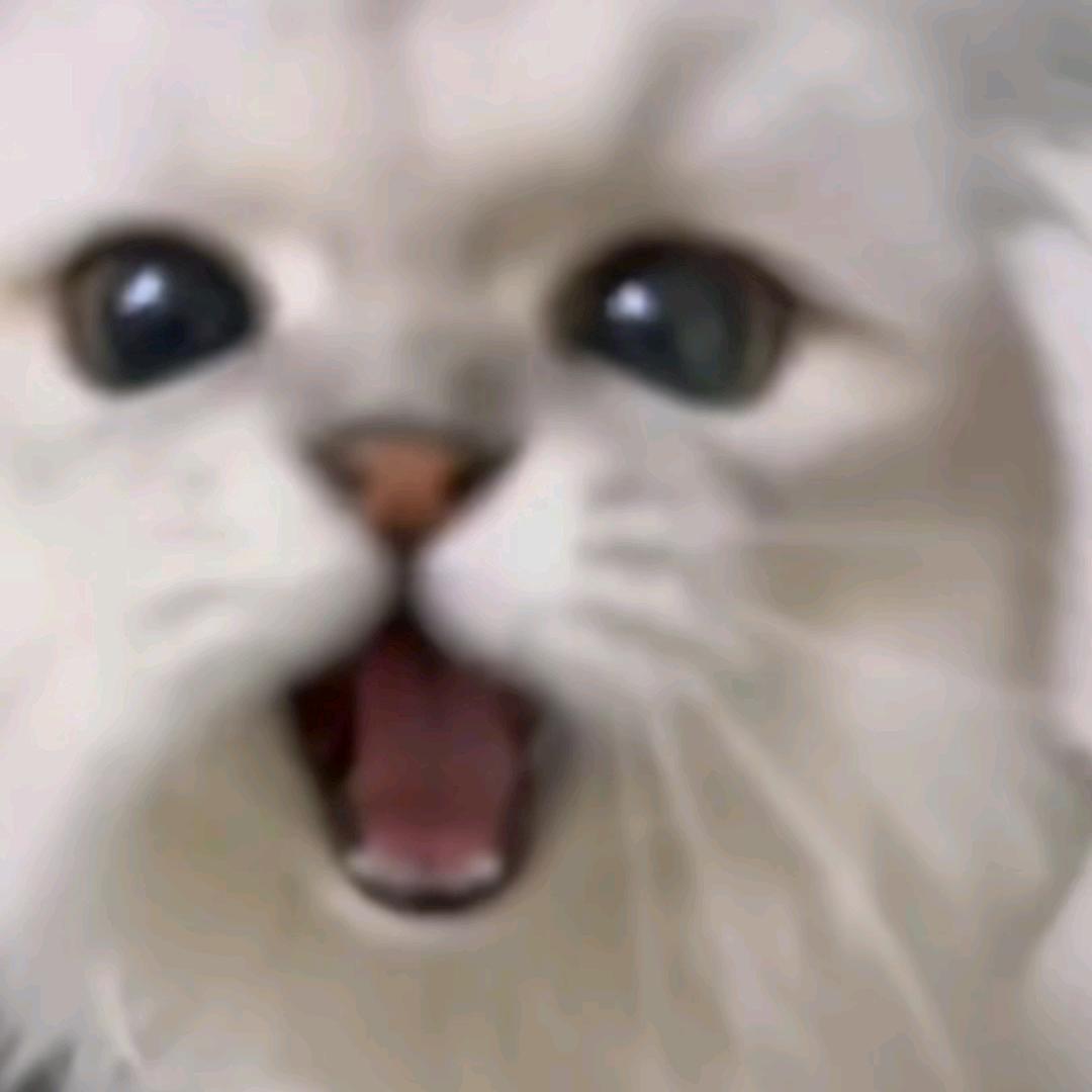 -梅梅