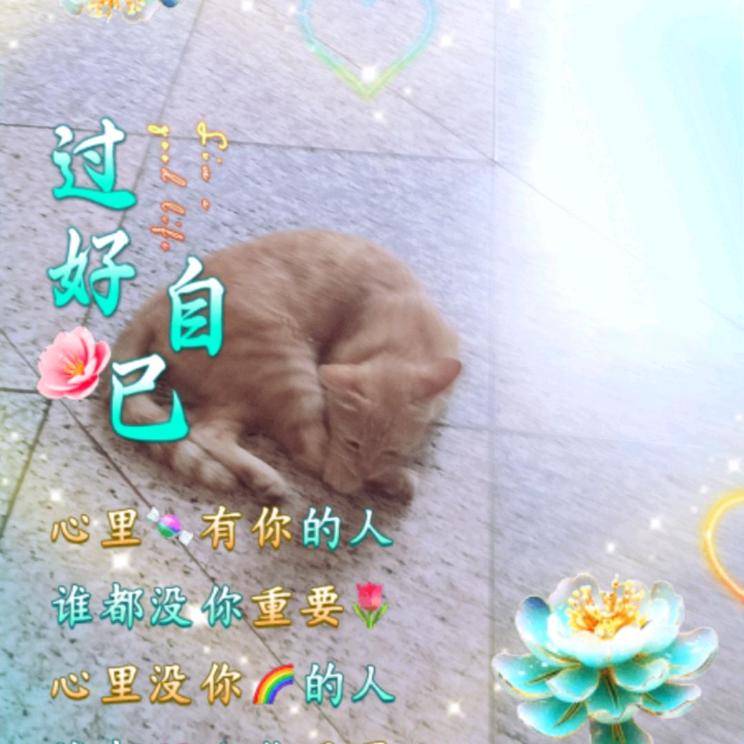 张家闺女