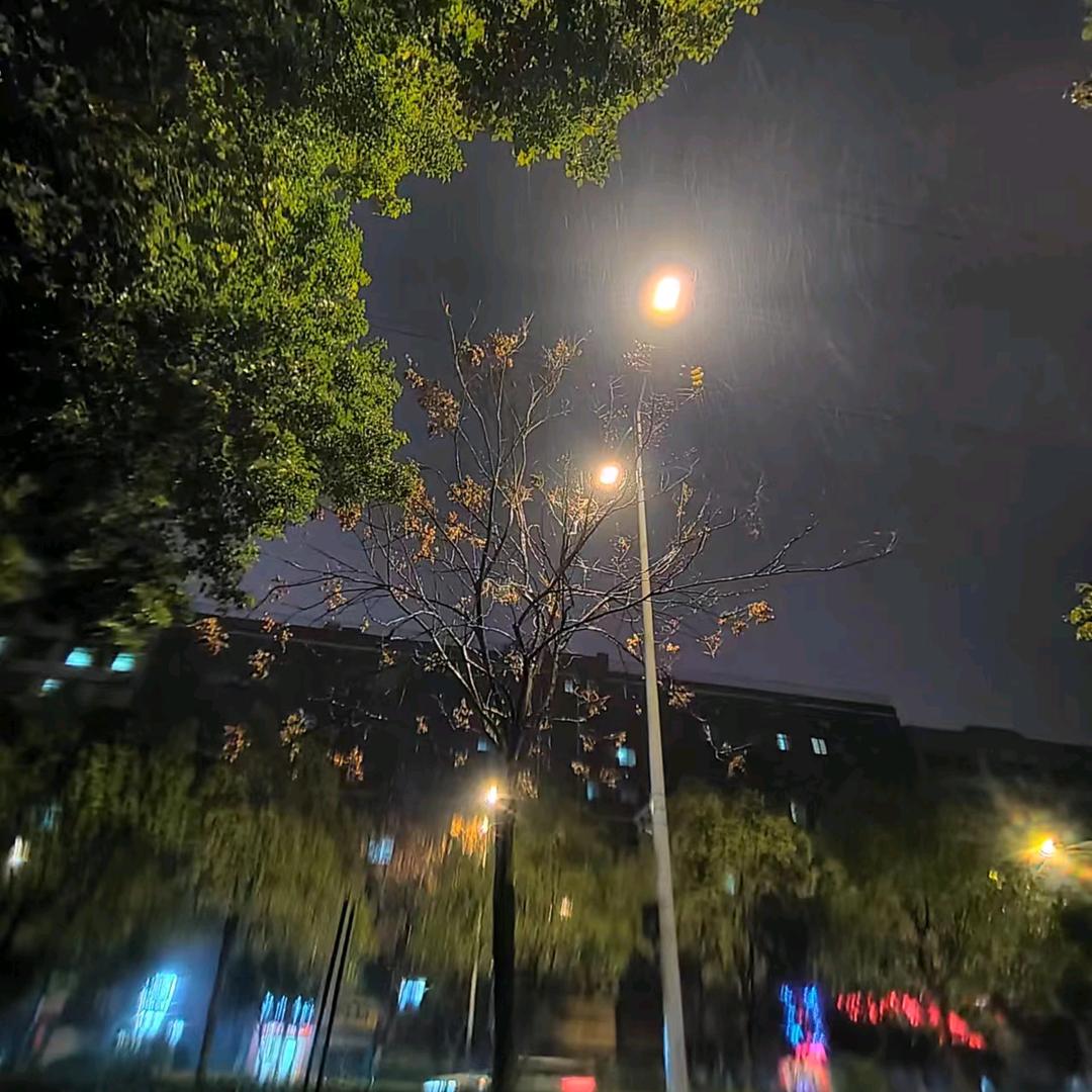 嗨丫丫