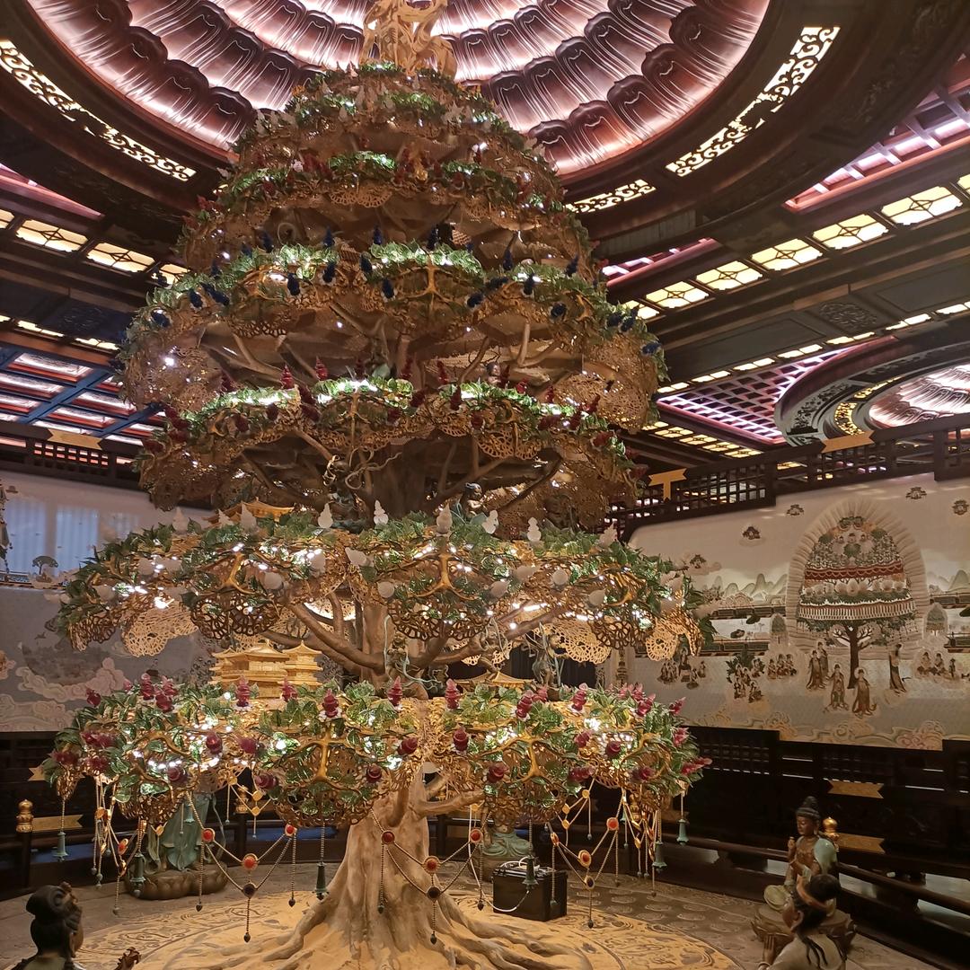 🥀এ᭄何必ꦿ再💔忆ོ࿐ᩚ