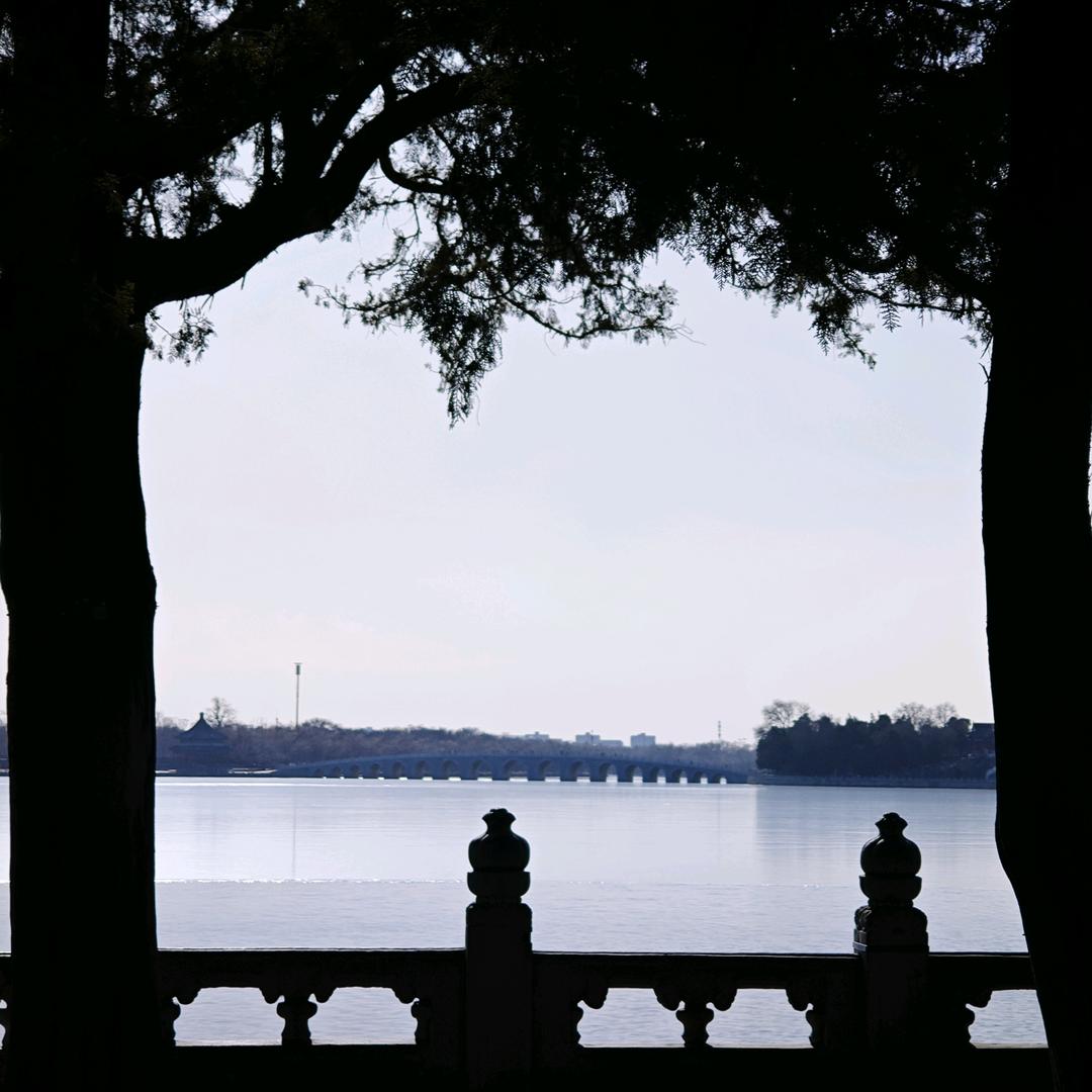 法大直博生还债进度条