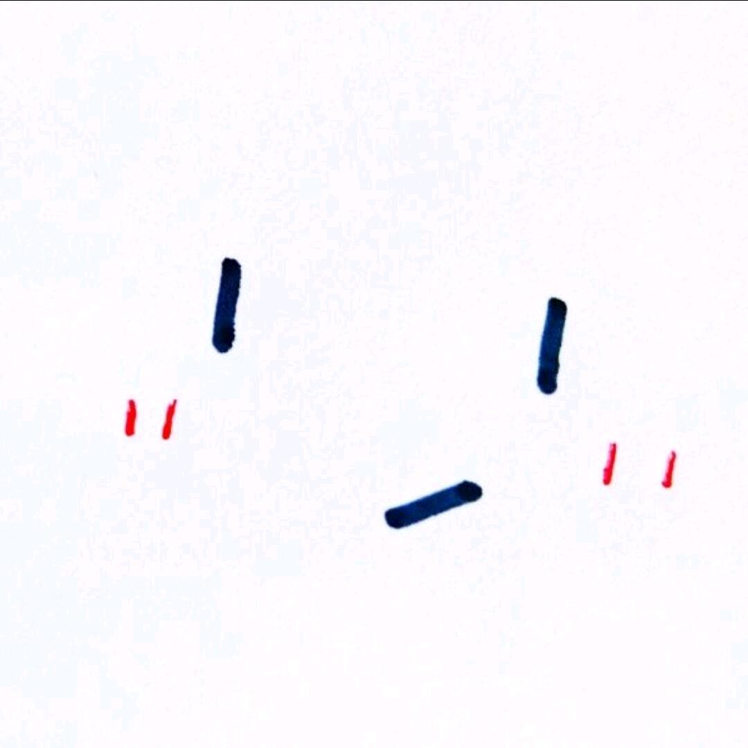 树下乘凉