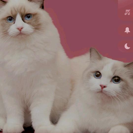 用户8221223047545快乐就好